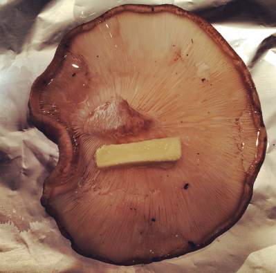 Pacotinhos de Shitake