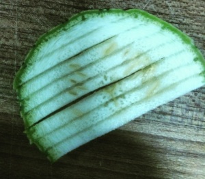 Pasta A Gorgonchinni