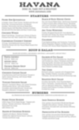 HAVANA DISPOSABLE MENU (4).png