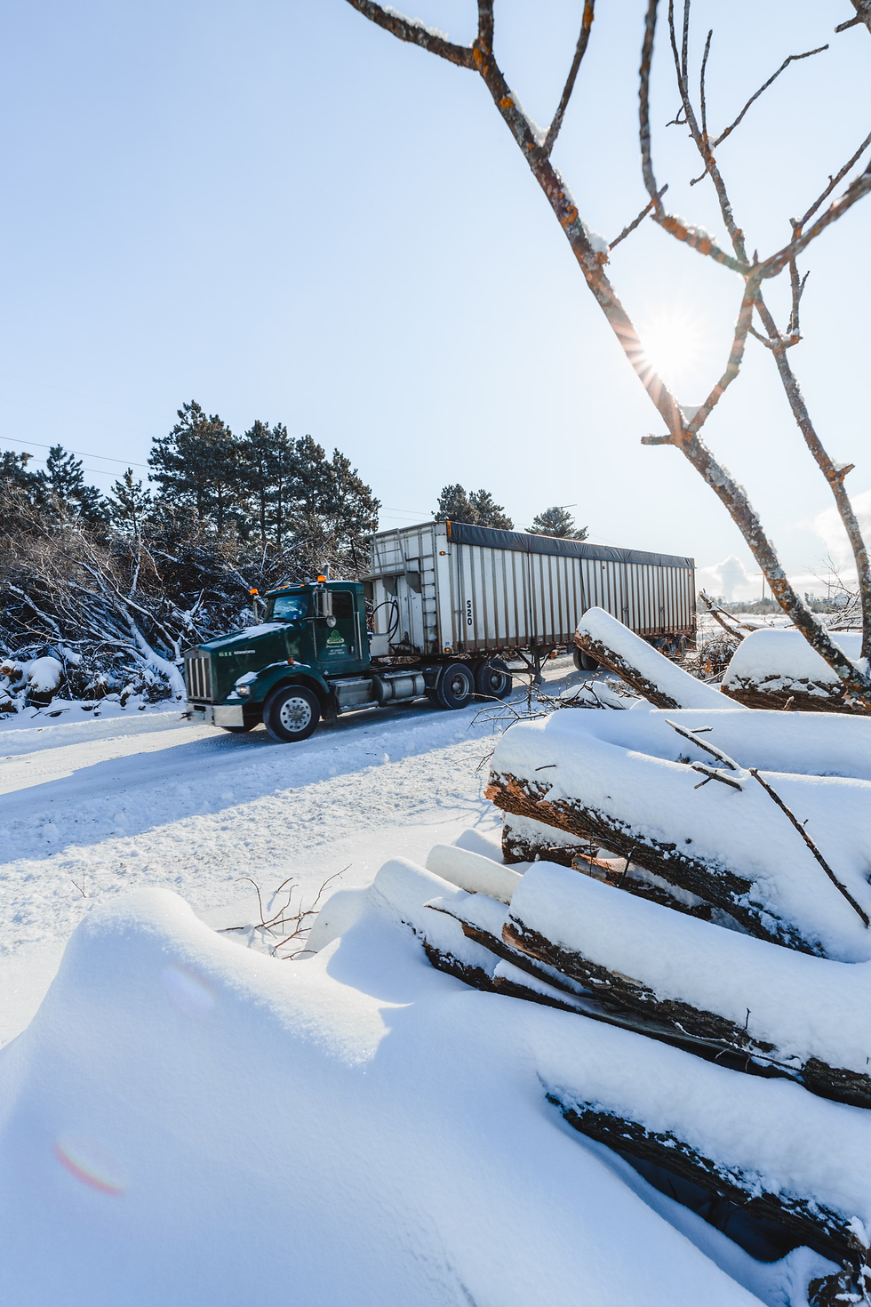 Hauling out wood