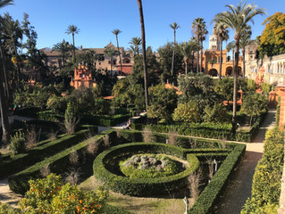 Life in Seville / January Interns / Part 3