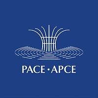 Parliamentary Assembly of the Council of Europe (PACE).jpg