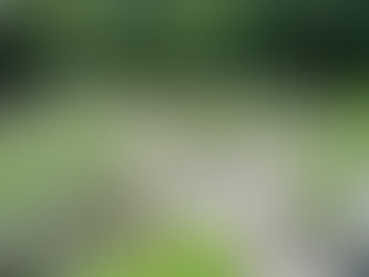 How to achieve your dream garden in 2026