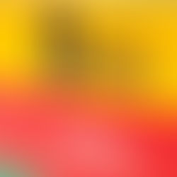 Genéricos representam quase metade das vendas nas farmácias