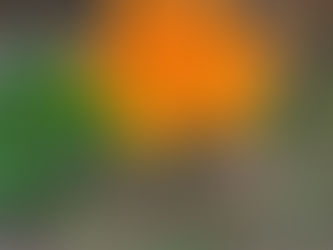 Love myself too?