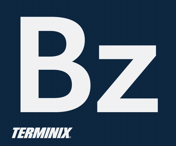 TMX_2025_Mosquito_BZZZZZ_Banner_300x250.gif