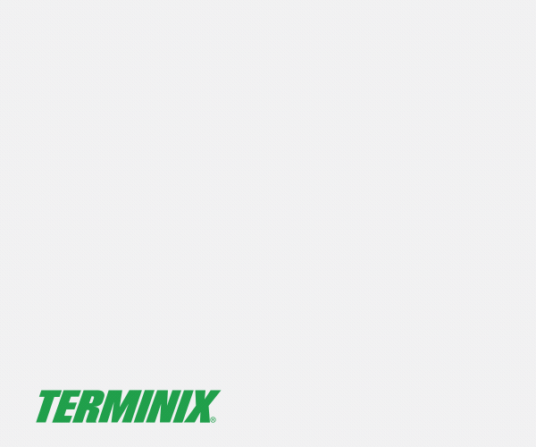 TMX_2025_Termite_Banner_1_300x250.gif