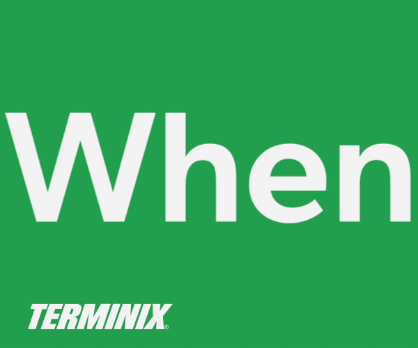 TMX_2025_Brand_Home_Services_Play_300x250.gif
