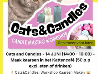 Gloednieuwe workshop kaarsen maken beschikbaar!