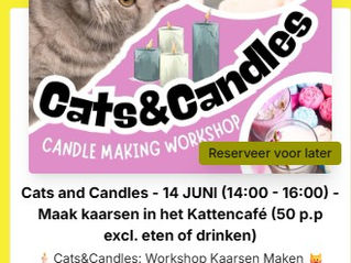 Gloednieuwe workshop kaarsen maken beschikbaar!