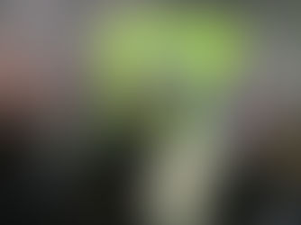 Universidad UNIC recibe a Ricardo Arnaiz para taller exclusivo sobre dirección de cine