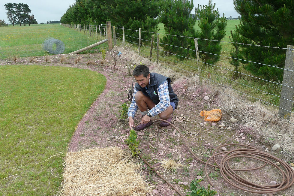 Installing Irrigation