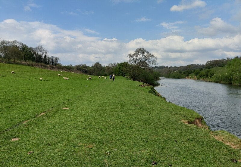 The Severn Way along the river near Upton-upon-Severn