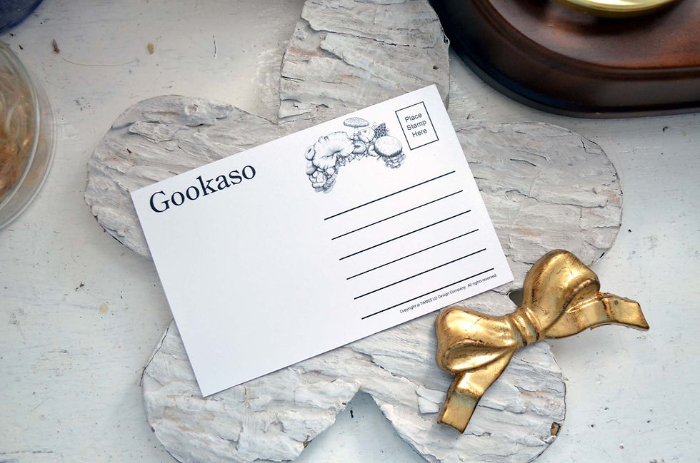 縮圖：GOOKASO 仙人掌衣服貓咪淑女明信片 書紙材質 POSTCARD