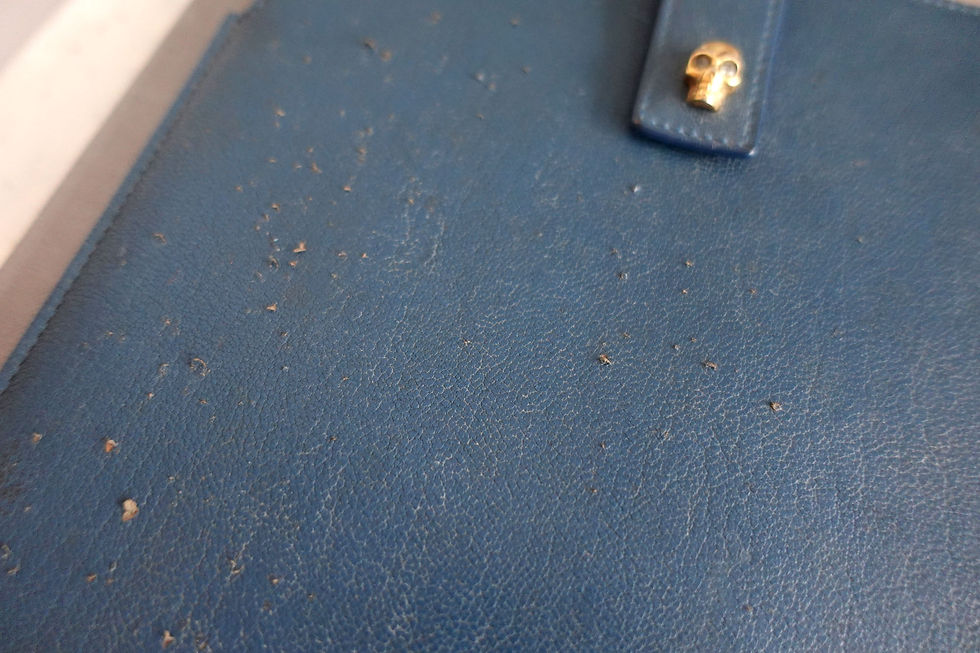 サムネイル： ALEXANDER MCQUEEN's classic gold skull blue cowhide IPAD case has scratches
