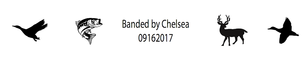 Thumbnail: Custom Engraved Tungsten Ring, Banded by, Fish, Duck, Deer Pattern Engraving