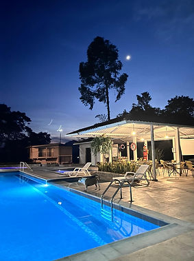 WhatsApp Image 2025-01-08 at 14.27.31.jpeg