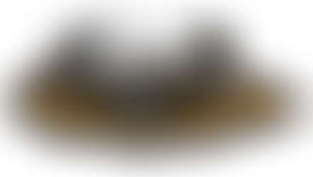 Community Highlights 33