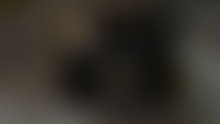 Devblog 9