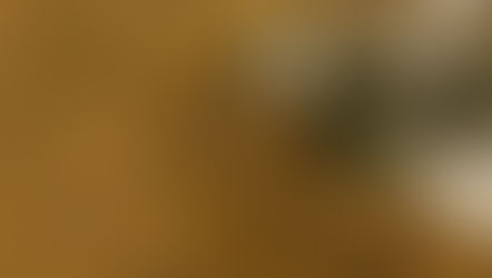 Prototype 0.0.1 Released!