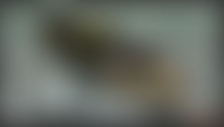 Foxhole 0.6 Release Notes