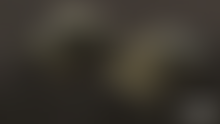 Devblog: Spring Update