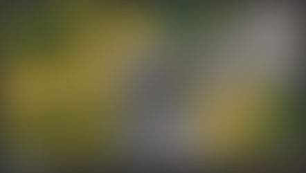 Foxhole 0.0.12 Release Notes