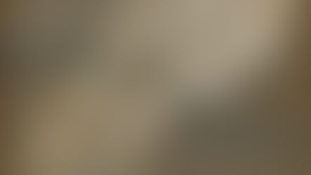 Prototype 0.0.2 Released!