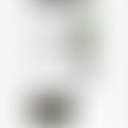 United Kingdom NewsWatch