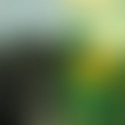 New Single and Video April 5th