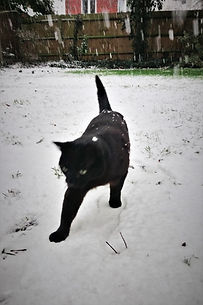 DSC_4893.jpg