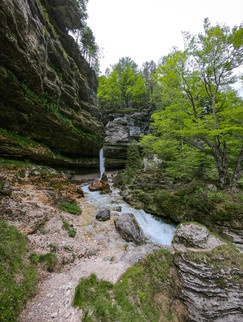 Pericnik