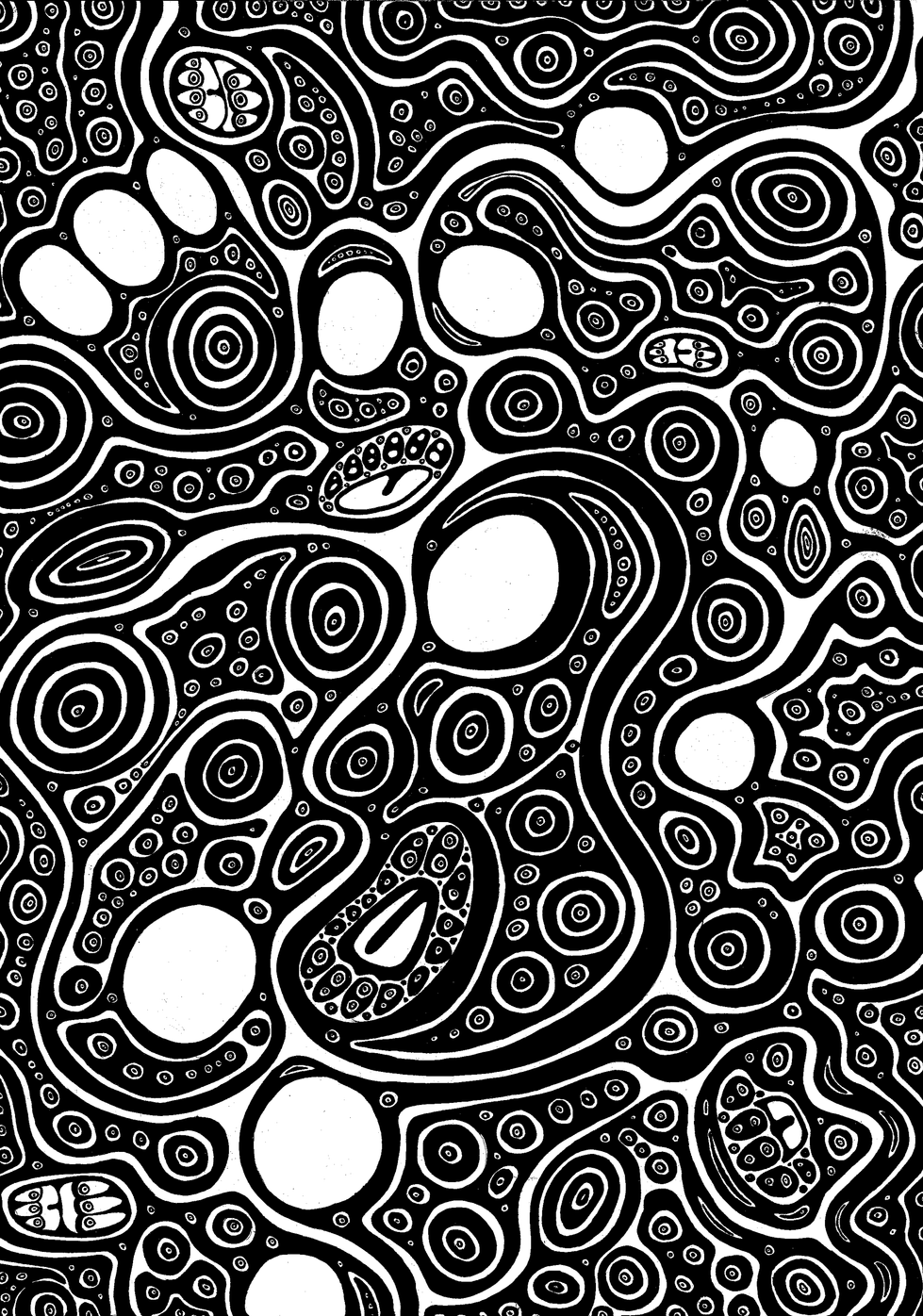 Teeth