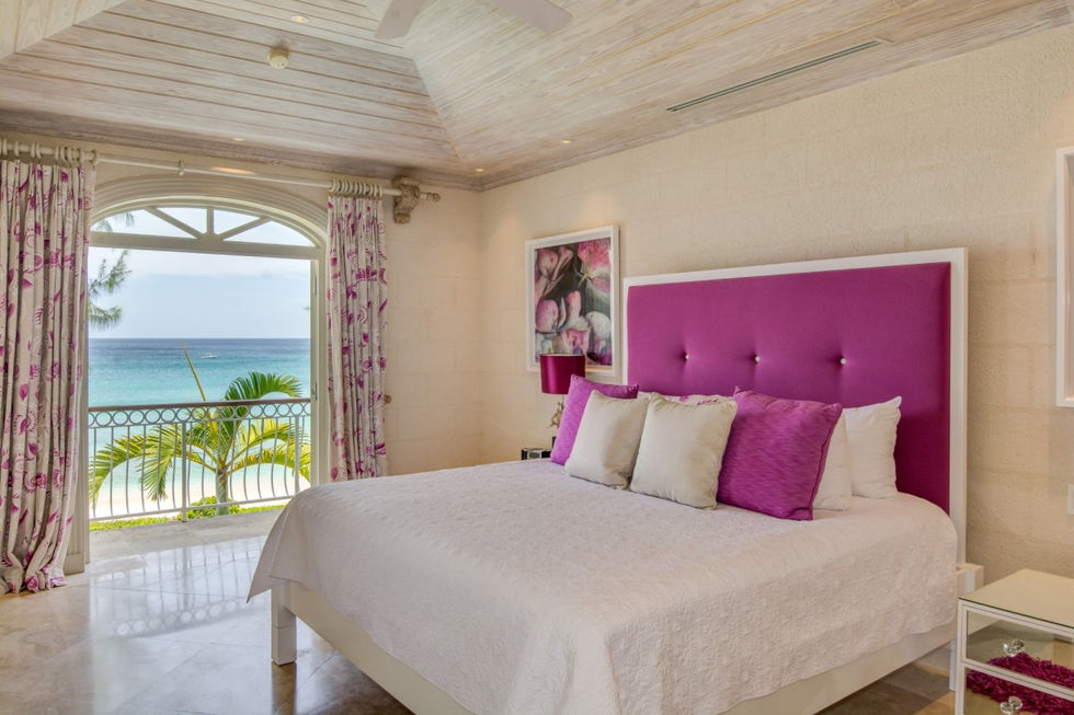 Old Trees 6 - Firefly - Our Villa Barbados