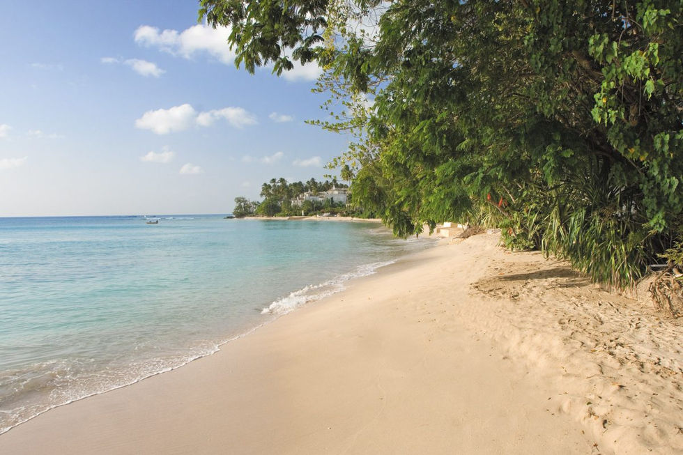 Nelson Gay, St Peter, Barbados - Our Villa Barbados