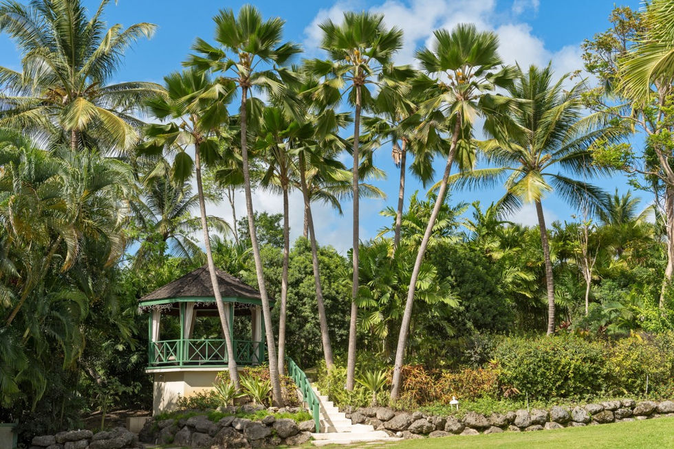 Aliseo - Our Villa Barbados