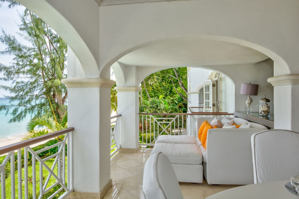 Old Trees 6 - Firefly - Our Villa Barbados