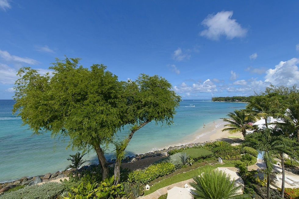 The View - Our Villa Barbados