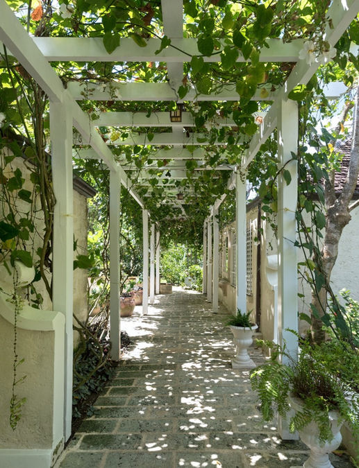 Heronetta - Our Villa Barbados