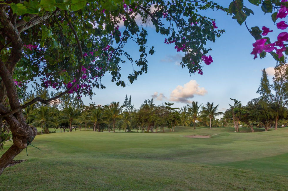 Nelson Gay, St Peter, Barbados - Our Villa Barbados