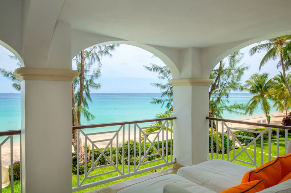 Old Trees 6 - Firefly - Our Villa Barbados