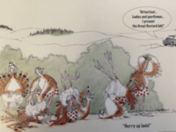 Great Bustard Lek Card