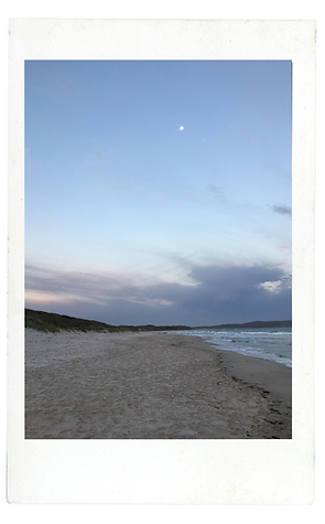 Under the cherry blossoms-4.png