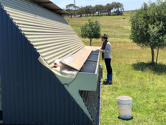 75233402_2474681446113822_64160035017588