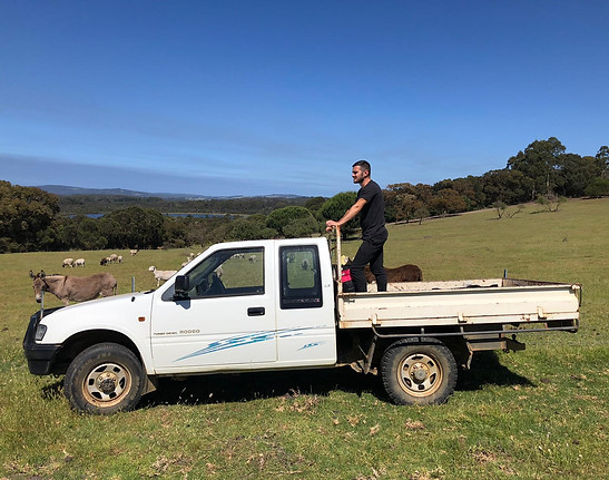 WhatsApp Image 2019-11-13 at 12.18.01.jp