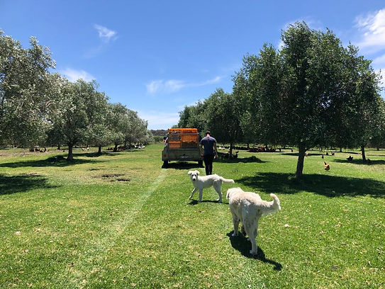 WhatsApp Image 2019-11-22 at 14.27.19-2.