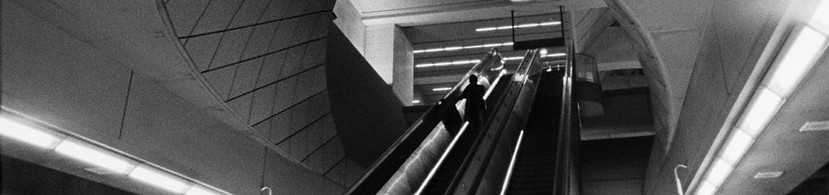 6707f9c8a7c62e114ac3f35a_A DYING TREE_240906_PIXLOCK_ONLINE.00_02_01_22.Still037.jpg