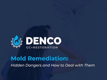 Mold Remediation: The Hidden Dangers and How to Deal with Them