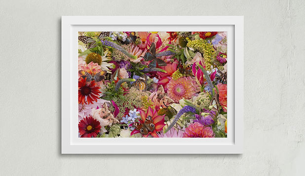 km-butterfly-framed-print.jpg