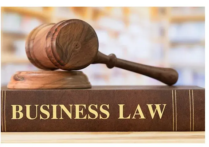INTELLECTUAL PROPERTY LAW.png